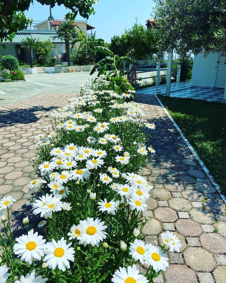Yard Paradise Hotel Dhermi
